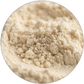 Lactic acid bacteria 500 mg