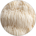 Lion's mane 1000 mg